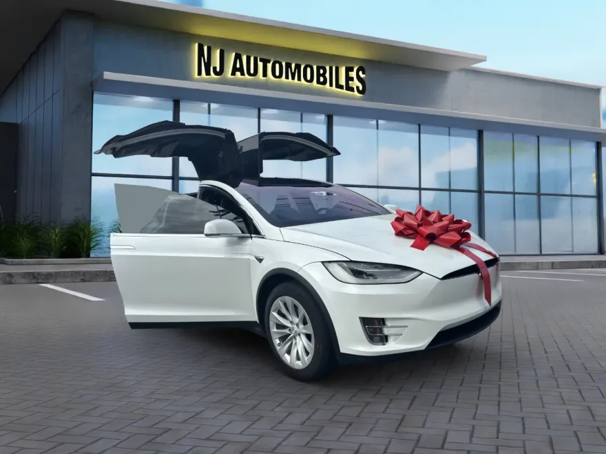2019 Tesla Model X 75D photo 1