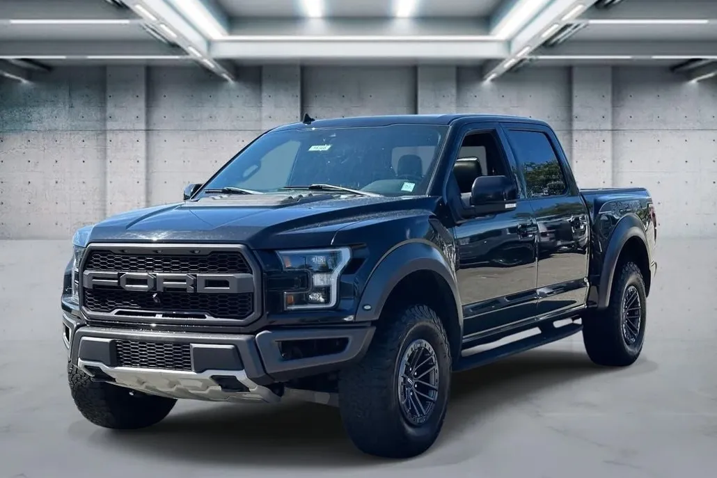 2019 Ford F-150 Raptor photo 1