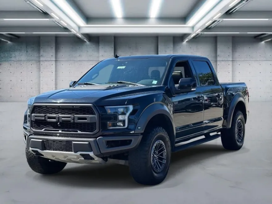 2019 Ford F-150 Raptor photo 1