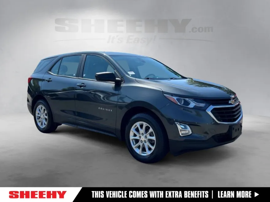 2021 Chevrolet Equinox LS photo 1
