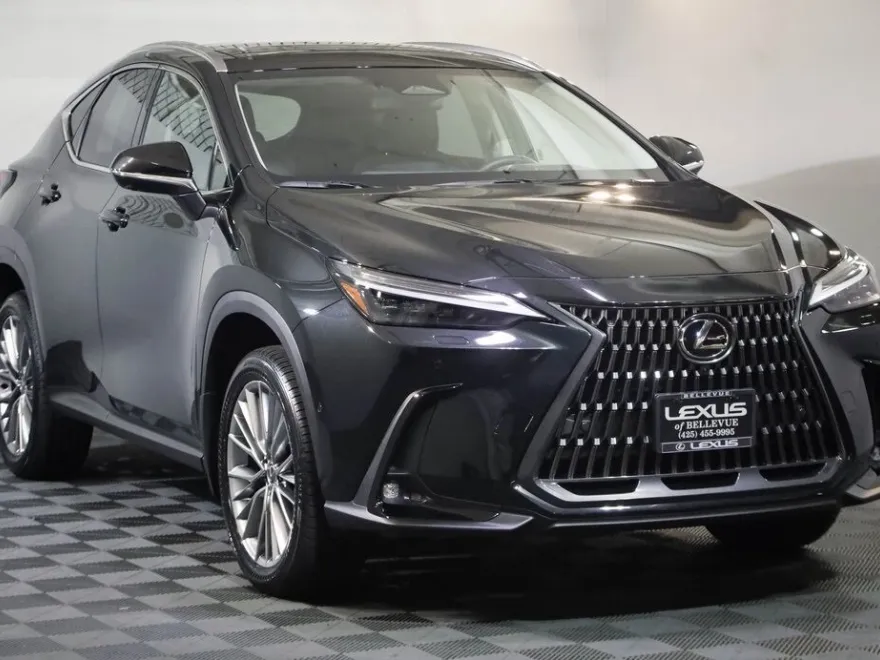 2025 Lexus NX 350h Luxury AWD photo 1