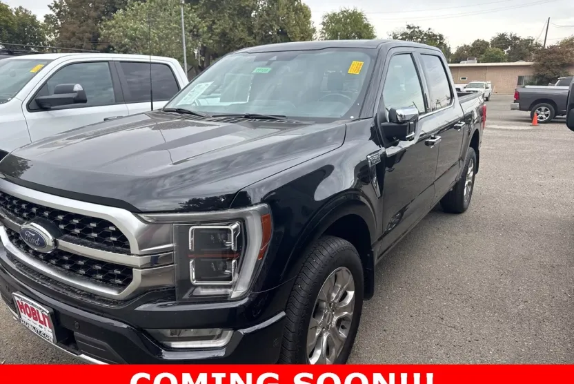 2022 Ford F-150 Platinum photo 1