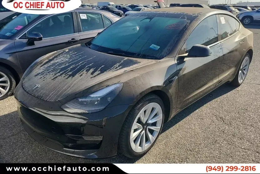 2023 Tesla Model 3 photo 1