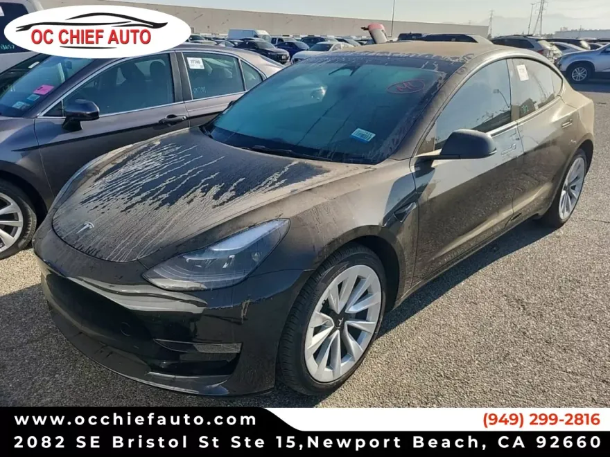 2023 Tesla Model 3 photo 1