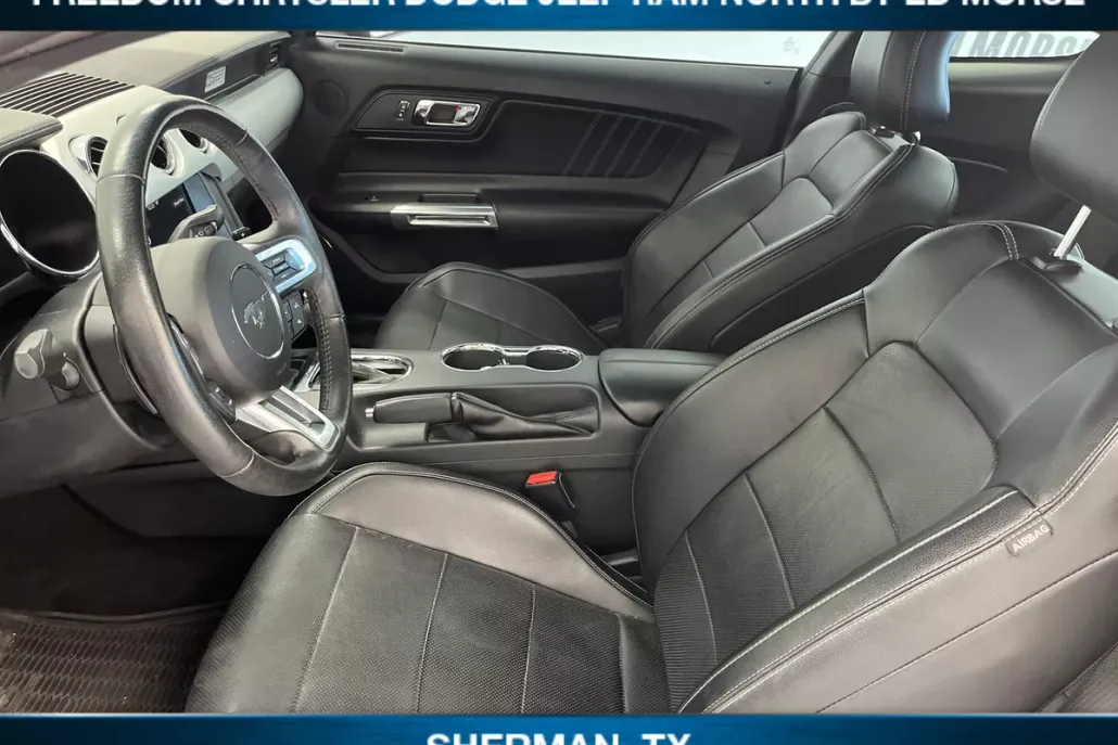 2016 Ford Mustang EcoBoost Premium photo 1