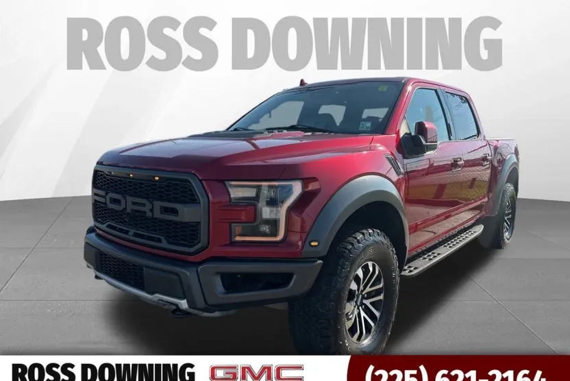 2019 Ford F-150 Raptor photo 1