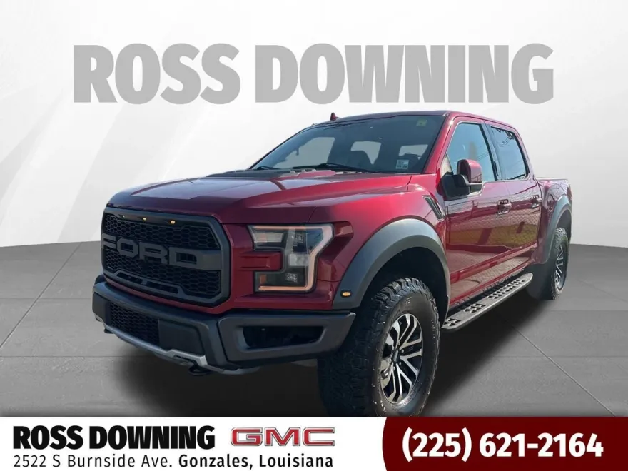 2019 Ford F-150 Raptor photo 1