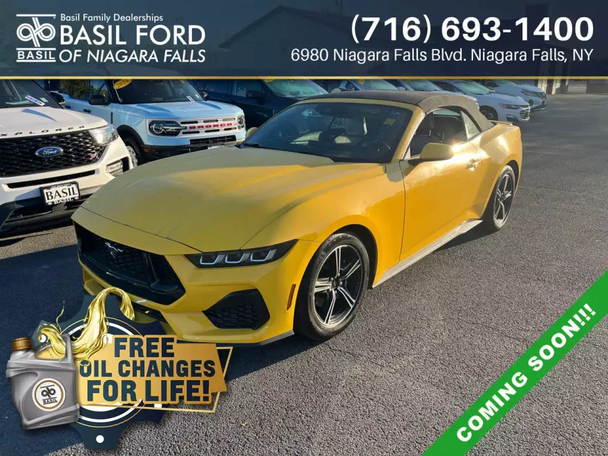 2024 Ford Mustang EcoBoost Premium Convertible photo 1