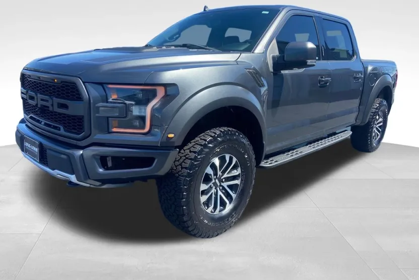 2019 Ford F-150 Raptor photo 1