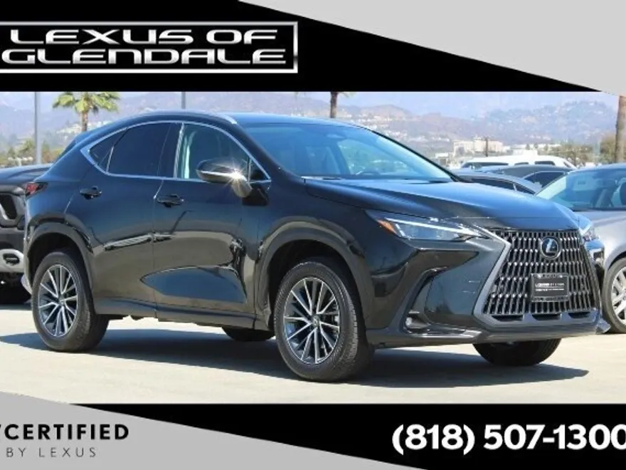 2025 Lexus NX 350h photo 1