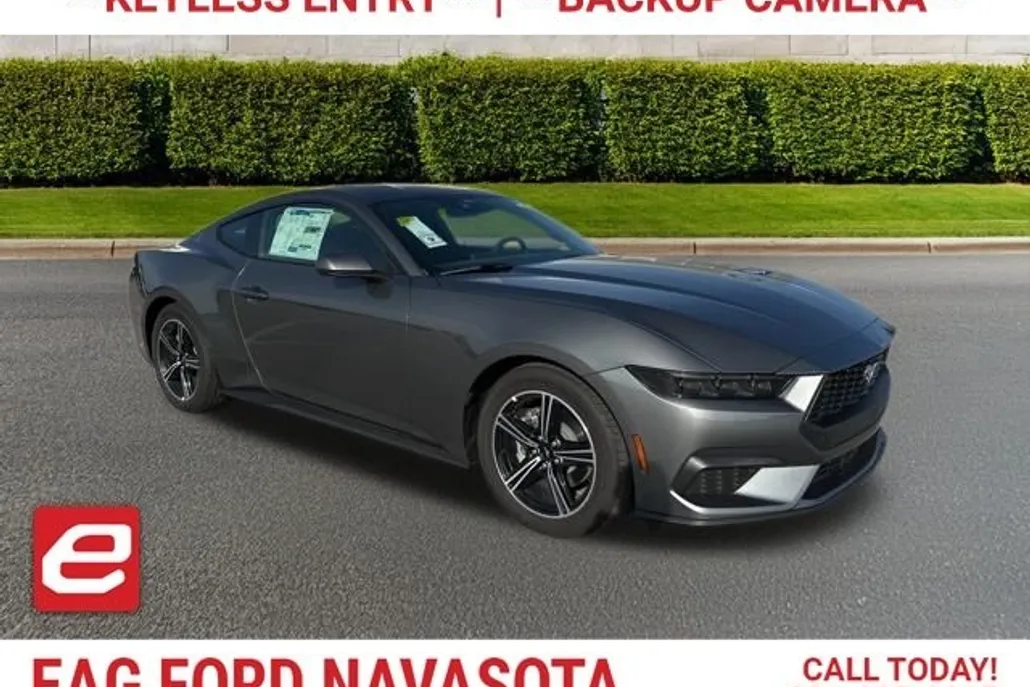 2025 Ford Mustang EcoBoost photo 1