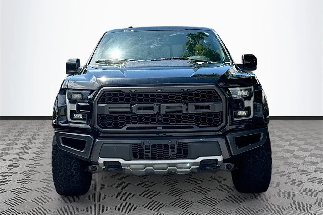 2018 Ford F-150 Raptor photo 1