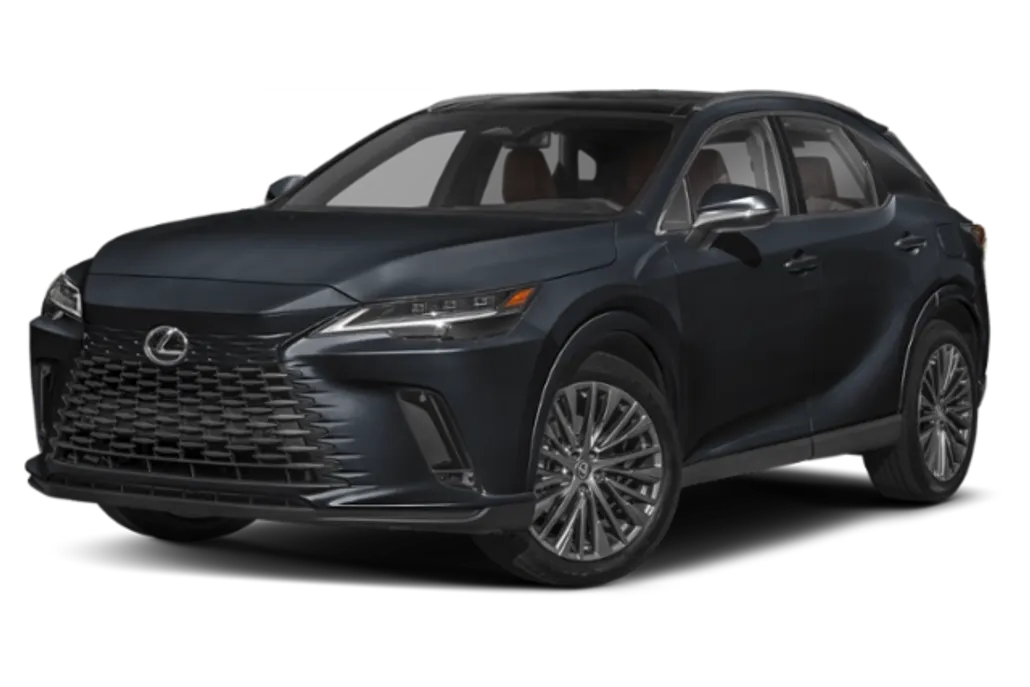2025 Lexus RX Luxury photo 1