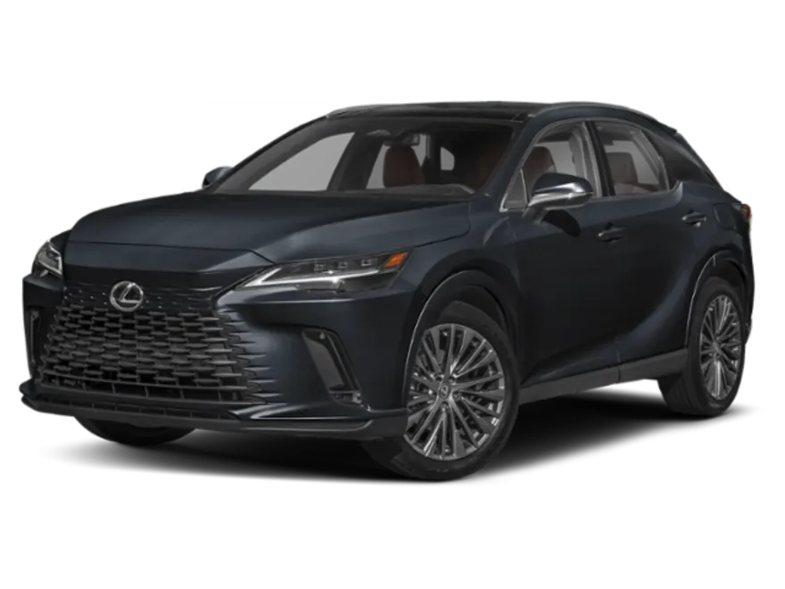 2025 Lexus RX Luxury photo 1