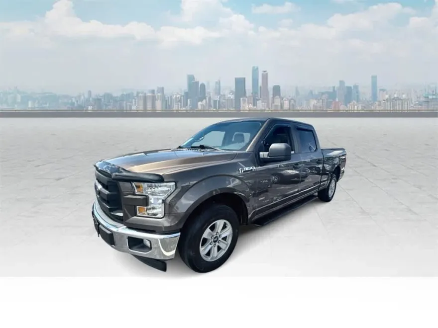 2017 Ford F-150 XL photo 1