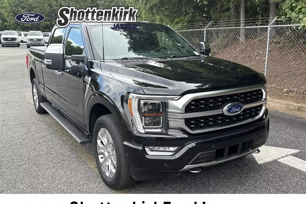 2022 Ford F-150 Platinum photo 1