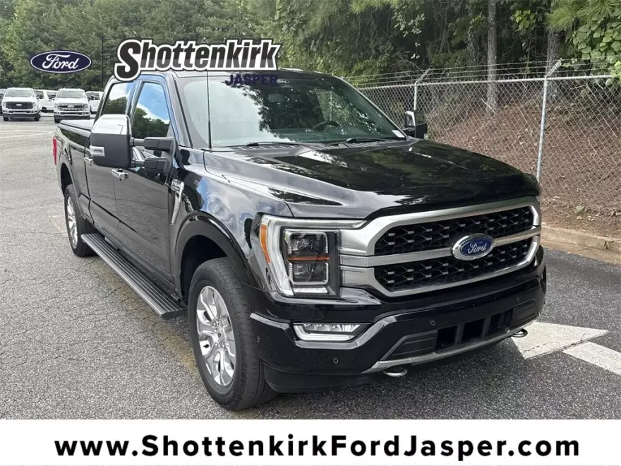 2022 Ford F-150 Platinum photo 1