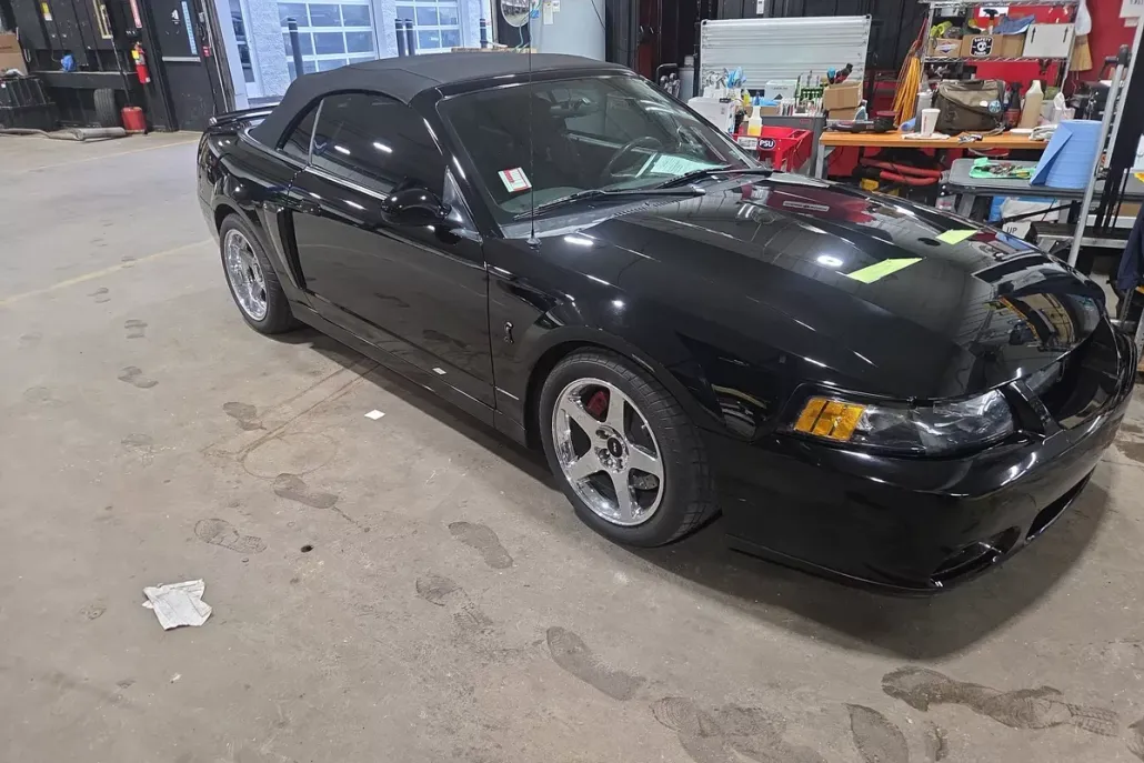 2004 Ford Mustang Cobra Convertible photo 1