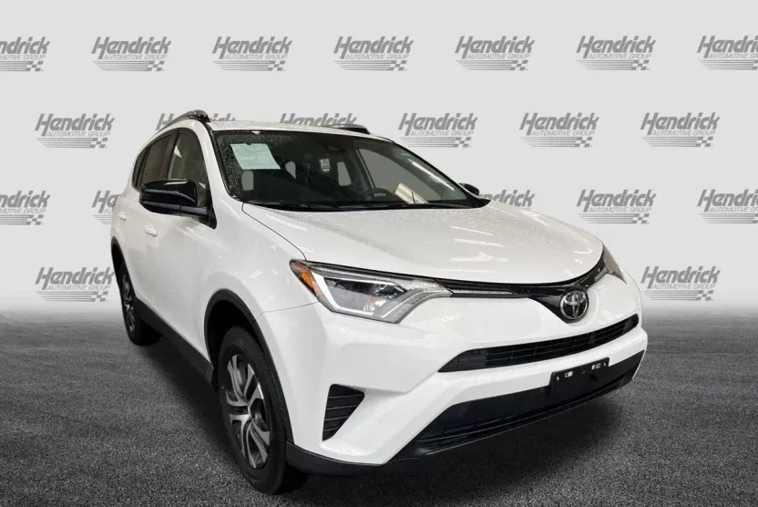 2017 Toyota RAV4 LE photo 1