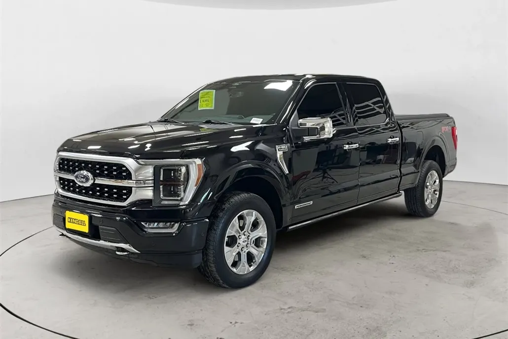 2022 Ford F-150 Platinum photo 1