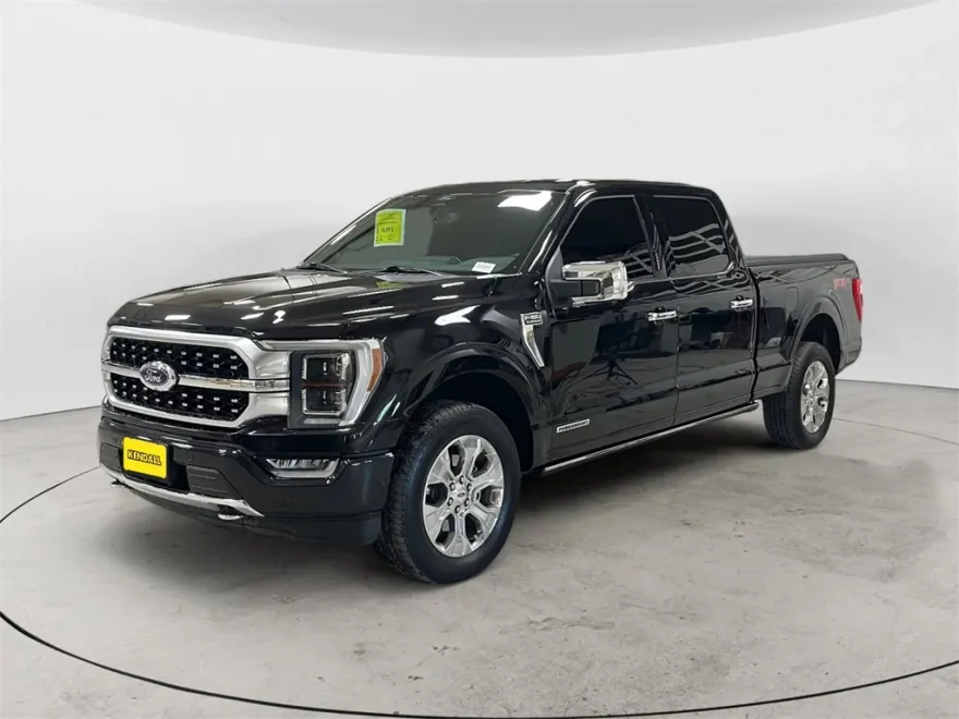 2022 Ford F-150 Platinum photo 1