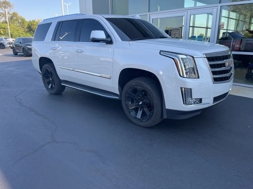 2019 Cadillac Escalade Luxury photo 1