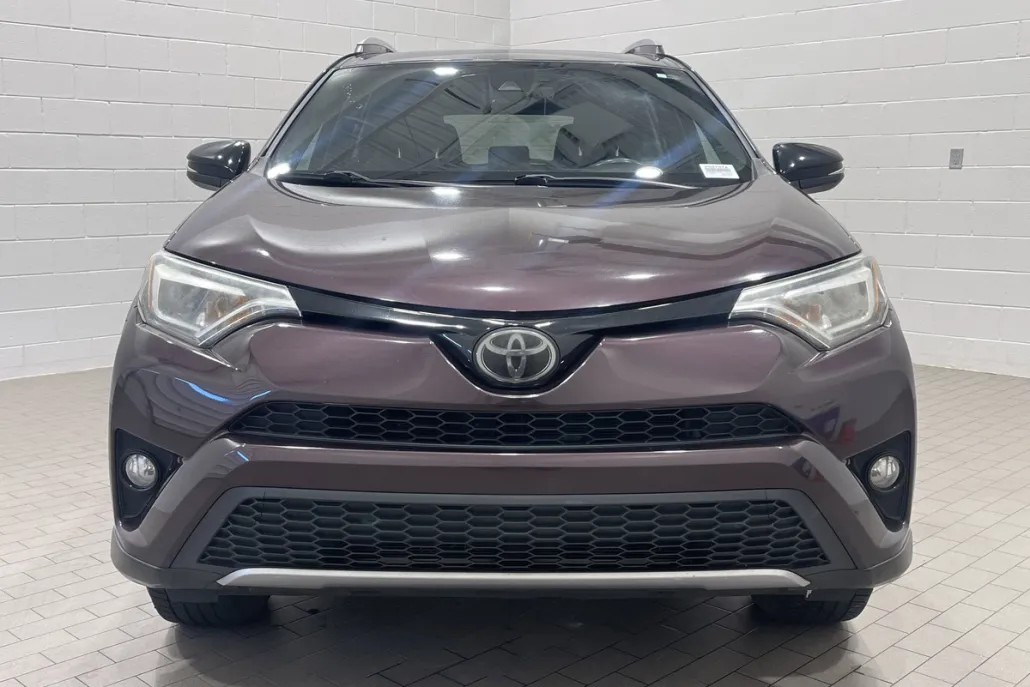 2017 Toyota RAV4 SE photo 1