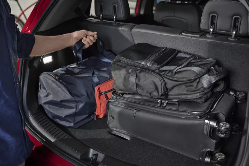 2020 Chevrolet Bolt EV photo 1