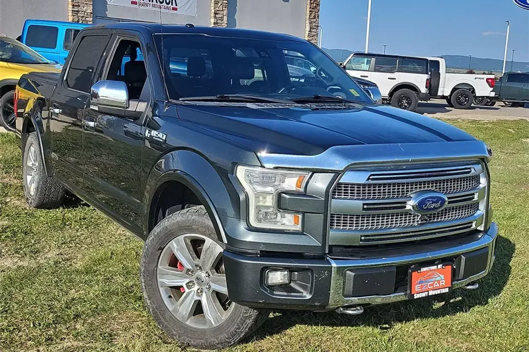 2015 Ford F-150 Platinum photo 1