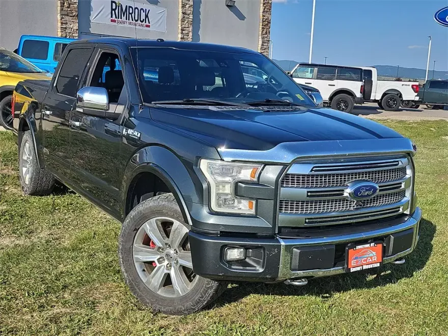 2015 Ford F-150 Platinum photo 1