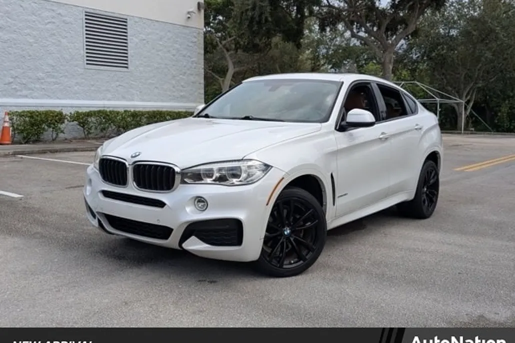 2018 Bmw X6 sDrive35i photo 1