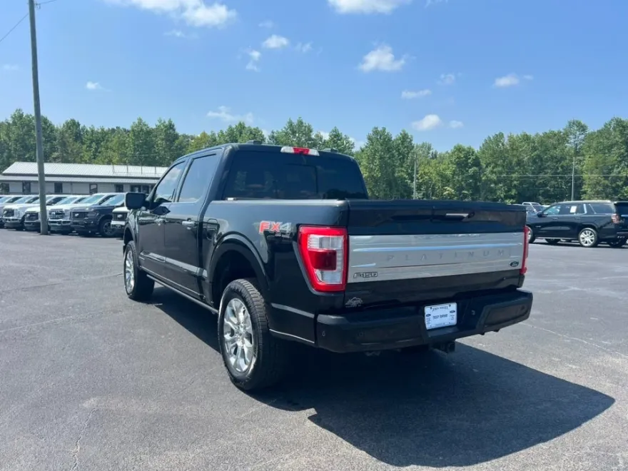 2021 Ford F-150 Platinum photo 8