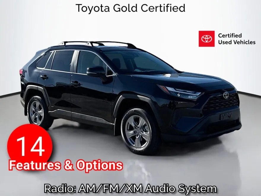 2025 Toyota RAV4 Hybrid LE photo 1