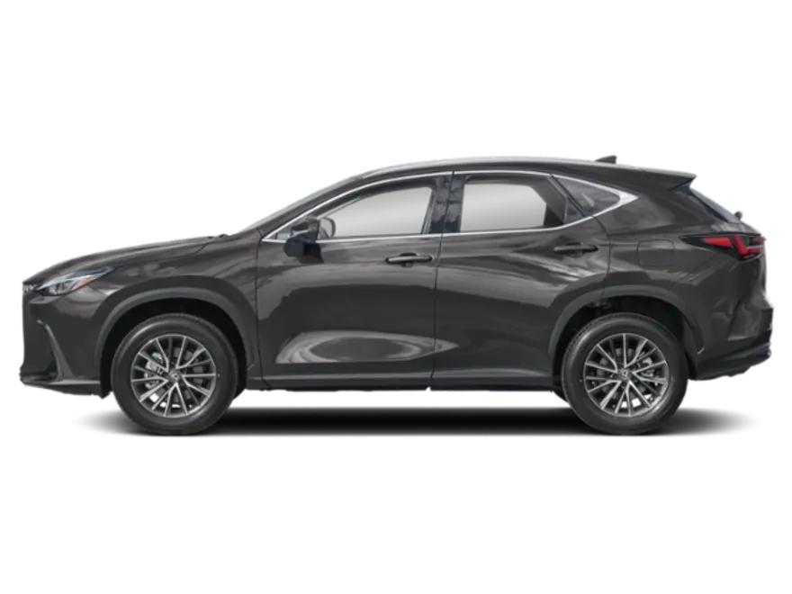 2025 Lexus NX 250 Premium photo 1