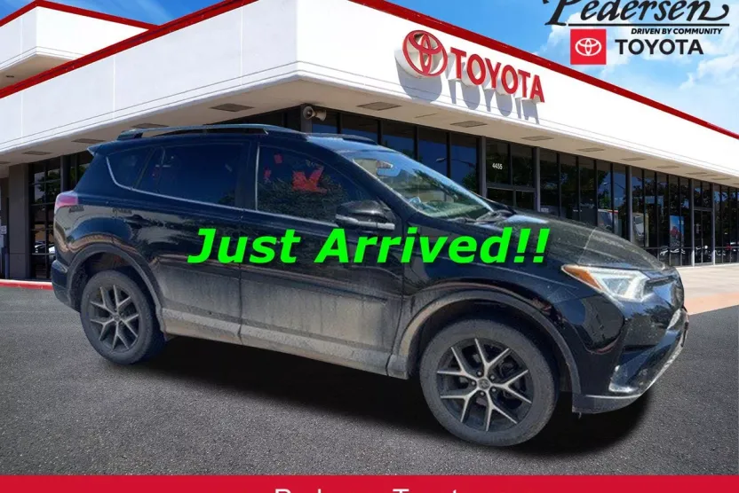 2017 Toyota RAV4 SE photo 1