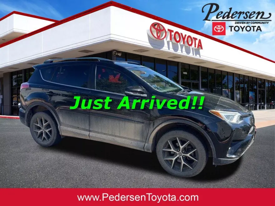 2017 Toyota RAV4 SE photo 1