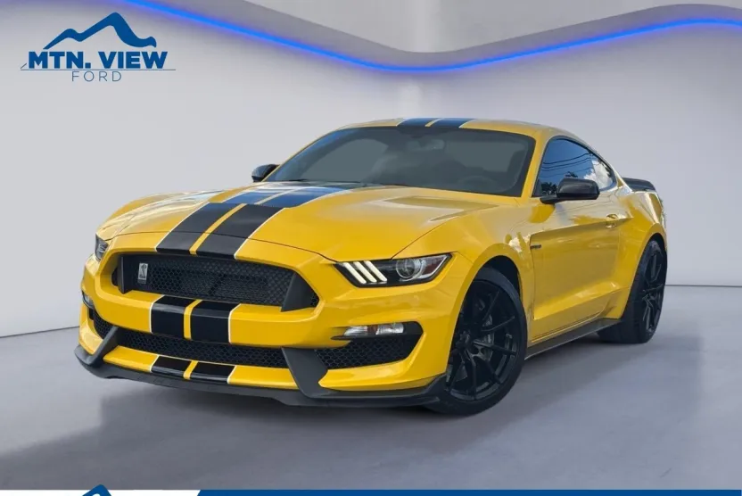 2017 Ford Mustang Shelby GT350 photo 1