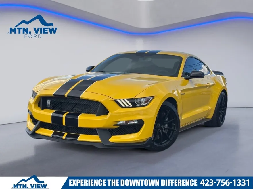 2017 Ford Mustang Shelby GT350 photo 1