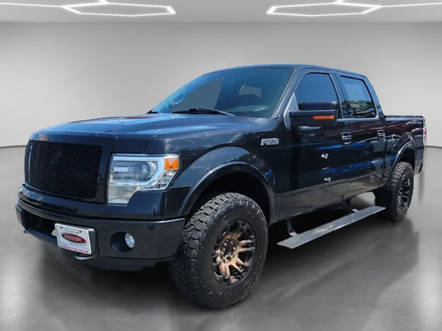 2014 Ford F-150 photo 1