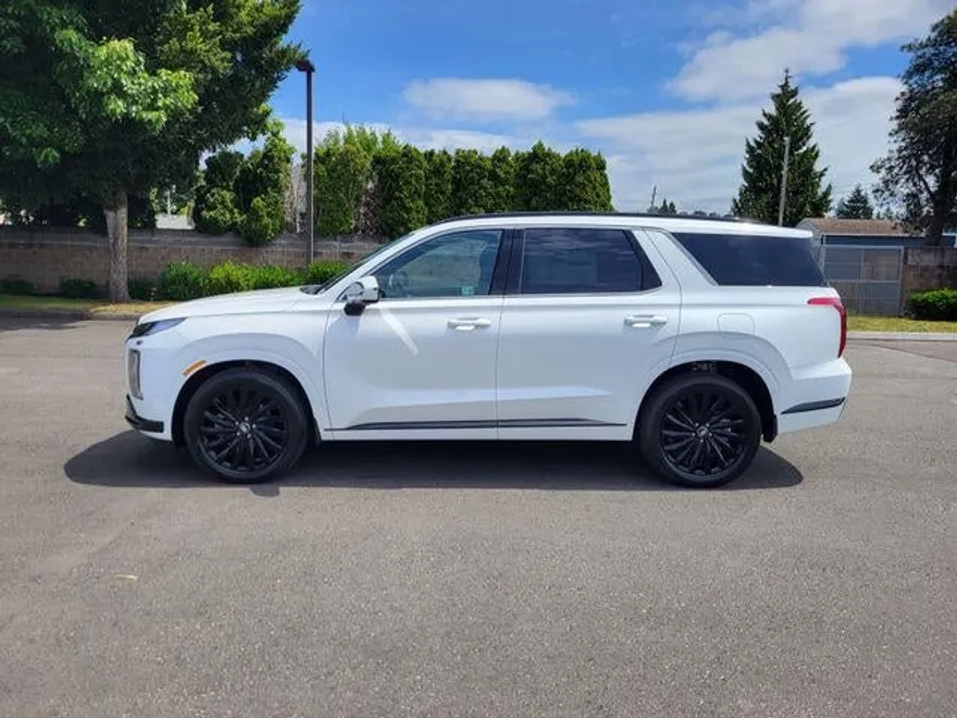 2025 Hyundai Palisade Calligraphy photo 1