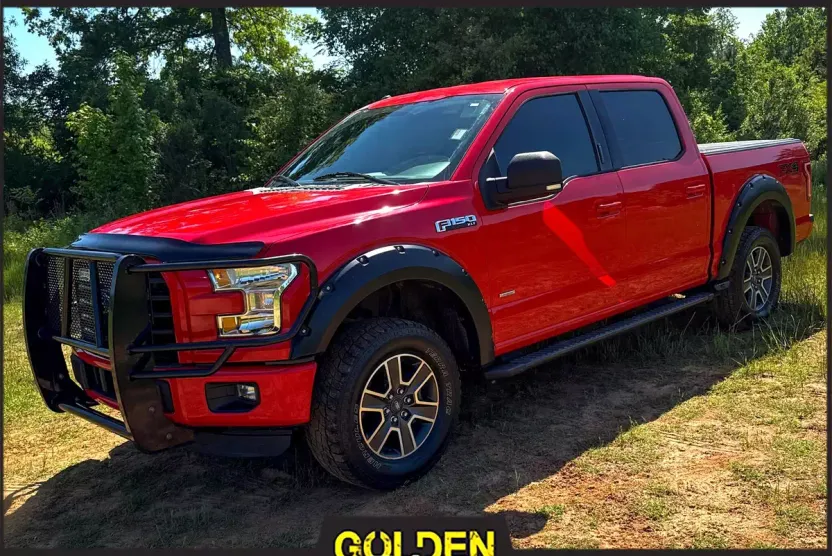 2015 Ford F-150 XLT photo 1
