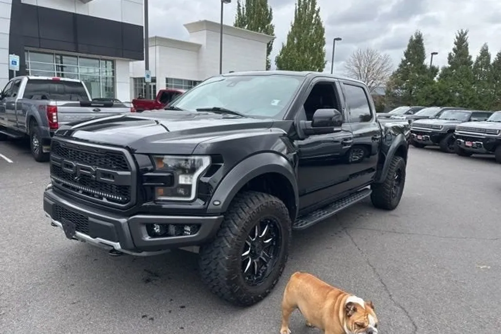 2018 Ford F-150 Raptor photo 1