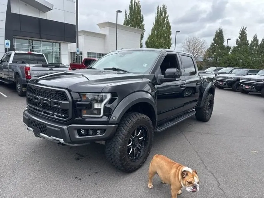 2018 Ford F-150 Raptor photo 1