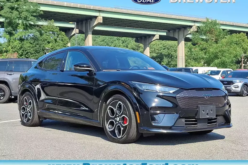 2022 Ford Mustang Mach-E GT photo 1