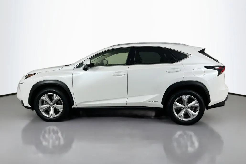 2017 Lexus NX 300h Luxury photo 1