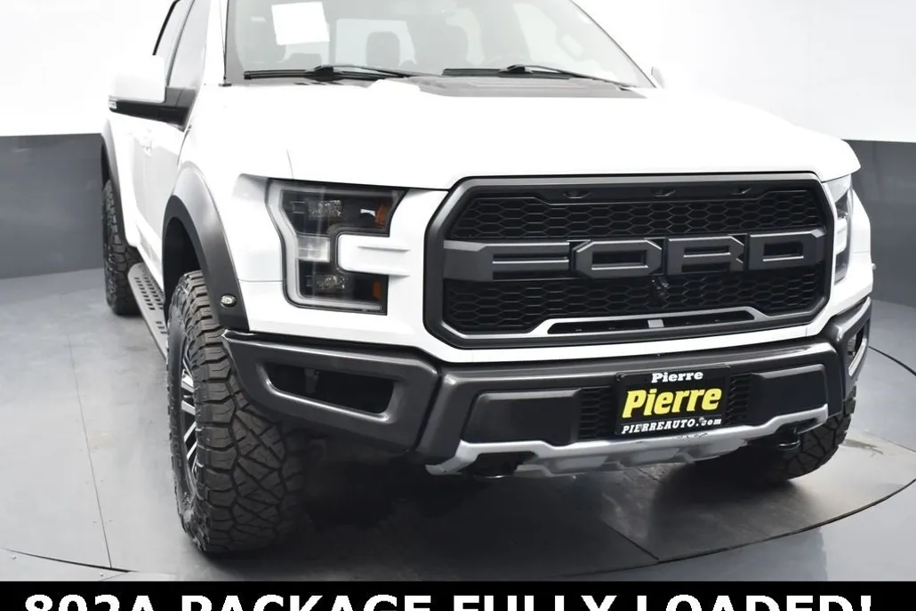 2019 Ford F-150 Raptor photo 1