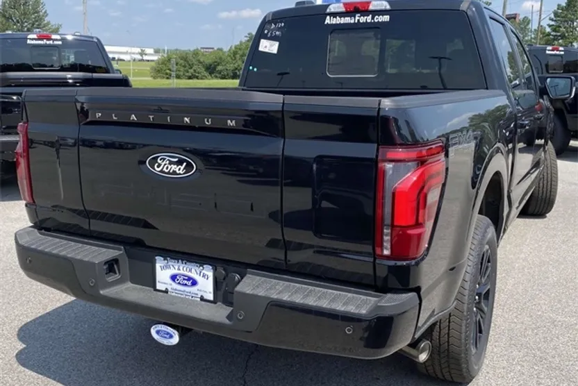 2025 Ford F-150 Platinum photo 1