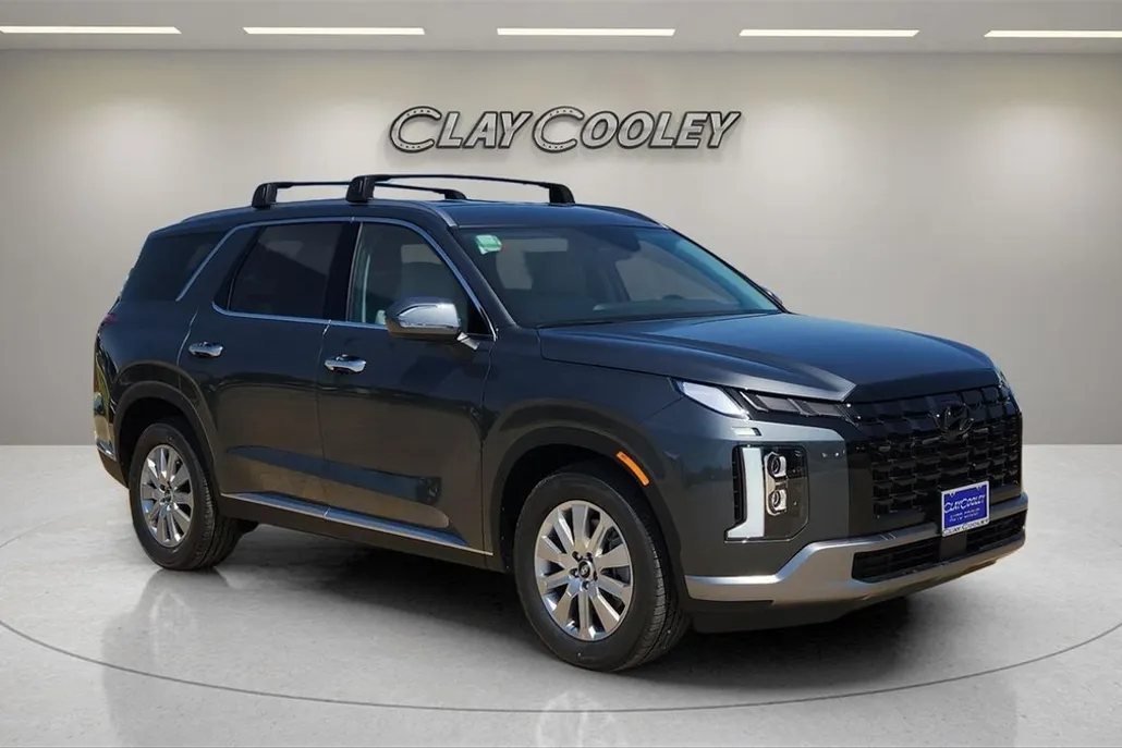 2025 Hyundai Palisade SEL photo 1
