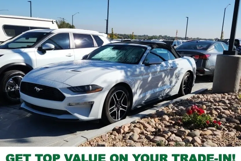 2022 Ford Mustang EcoBoost Premium photo 1