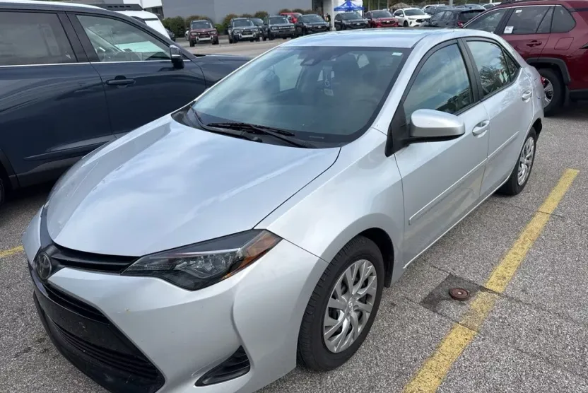 2019 Toyota Corolla LE photo 1